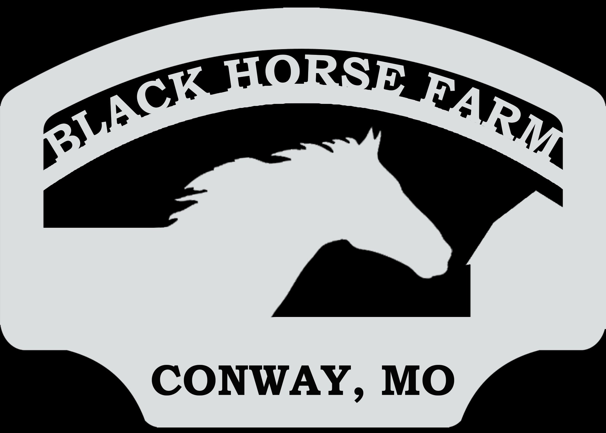 black+horse+farm+CONWAY_copy Logo of Black Horse Farm located in Conway, MO, featuring a silhouette of a horse against a contrasting background, emphasizing equestrian services and farm identity.
