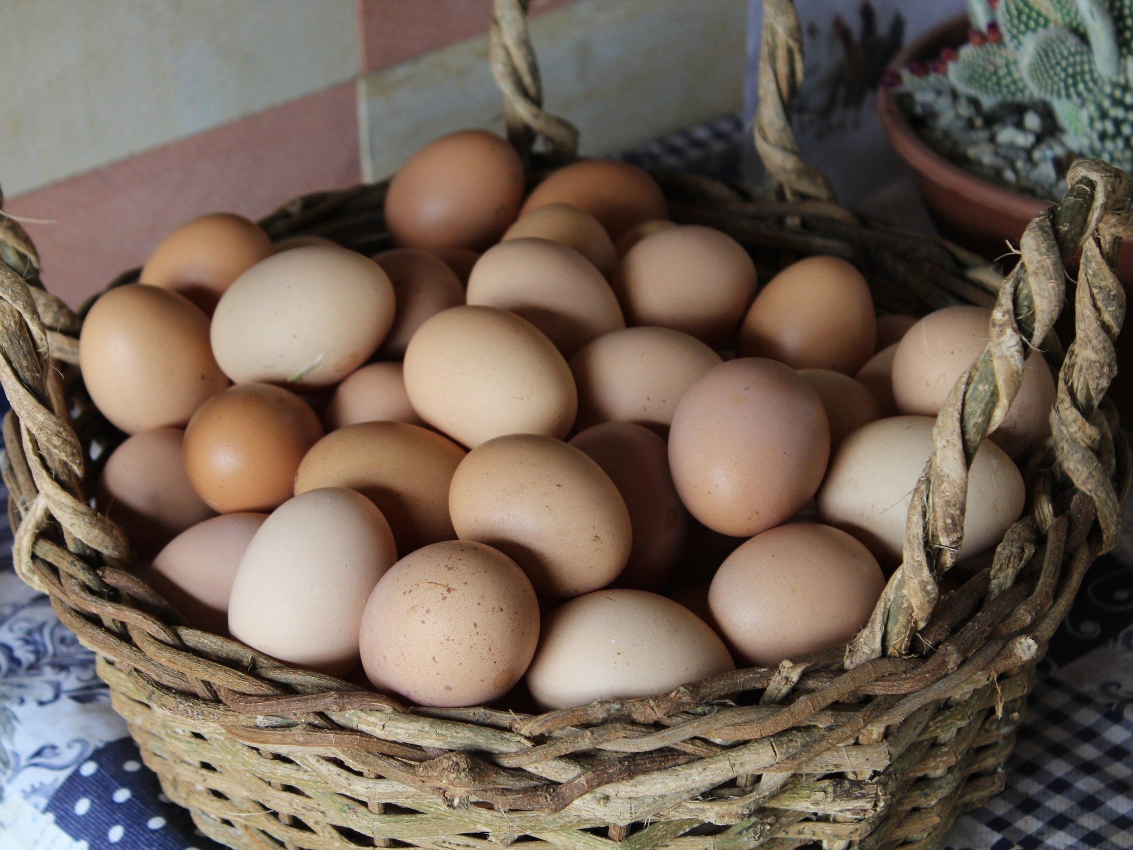 eggs_basket_woven A woven basket filled with a variety of brown and beige eggs, showcasing fresh farm produce. The background features a rustic setting with a patterned tablecloth and a potted cactus.