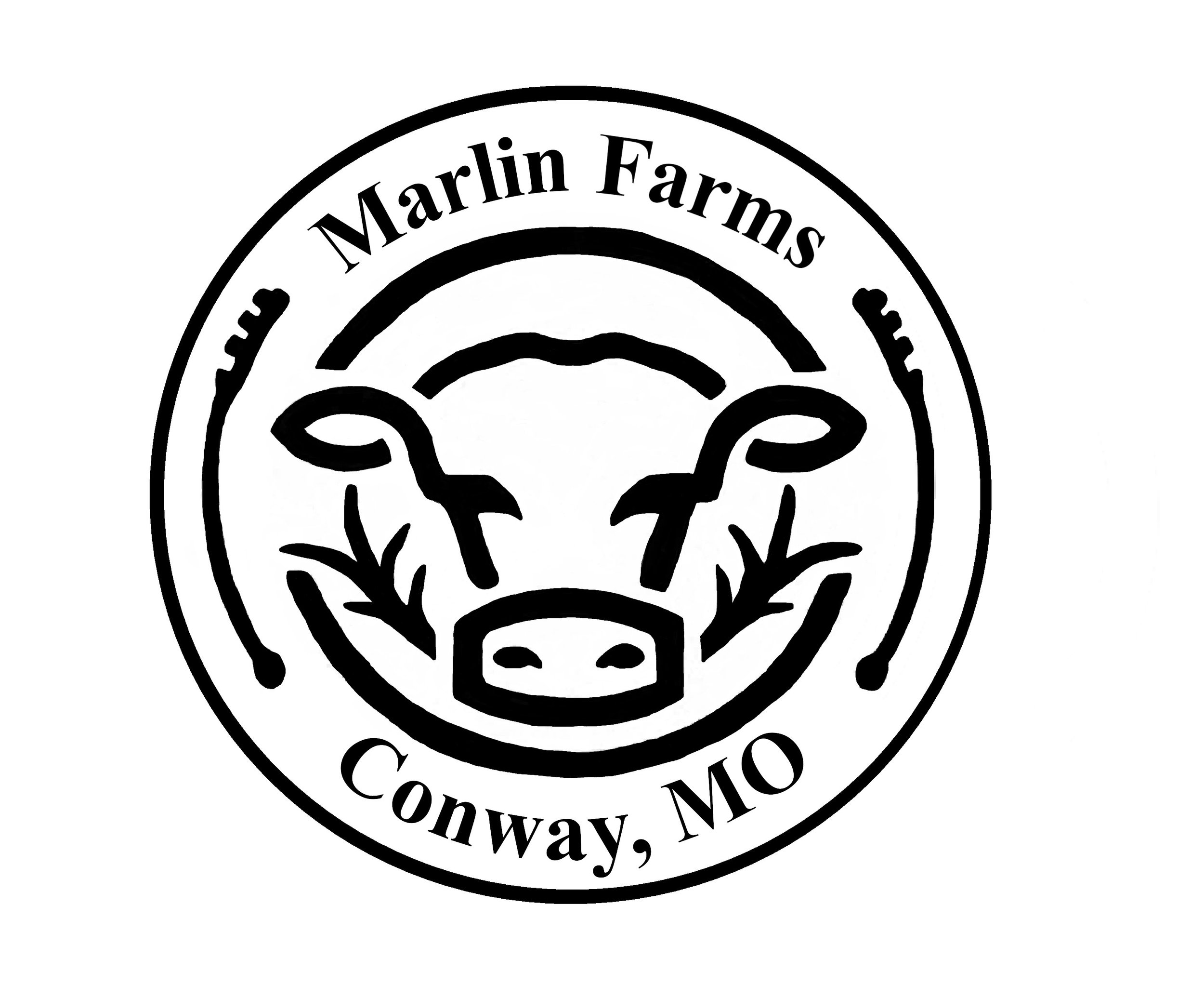 marlin+logo Logo of Marlin Farms, an agricultural business located in Conway, MO, featuring a stylized cow design and the farm's name prominently displayed.